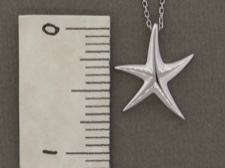 Starfish Necklace