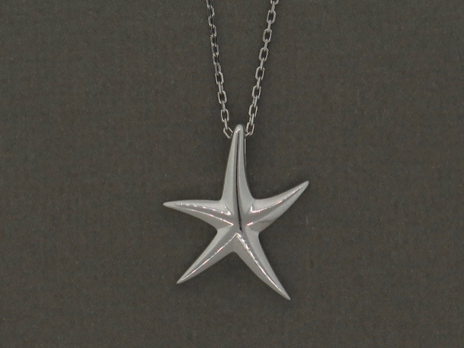 Starfish Necklace - Click Image to Close