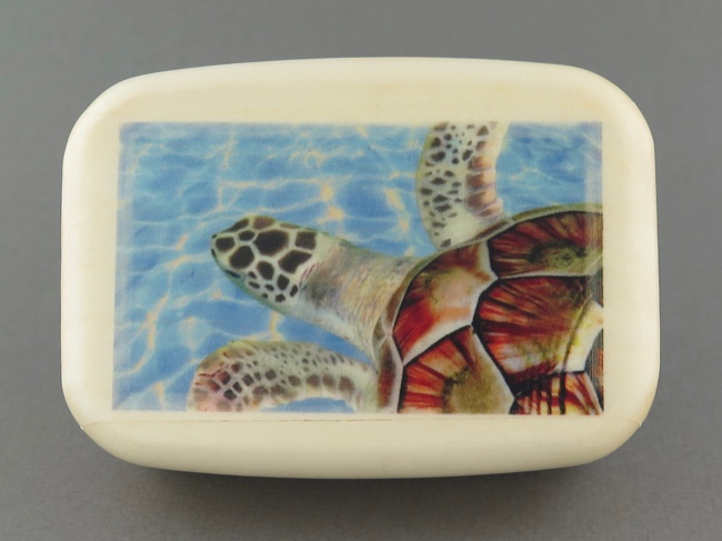 Secret Box - Sea Turtle - Aspen Wood - Click Image to Close