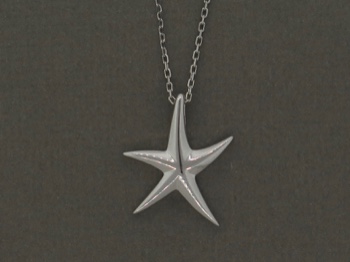 Starfish Necklace